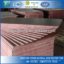 1250x2500 film face shuttering plywood